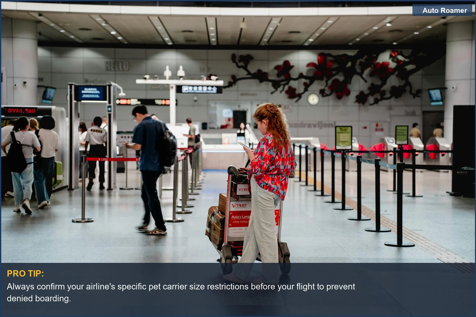 Woman checking phone with luggage cart in busy airport terminal, highlighting the importance of correct dog carrier size.