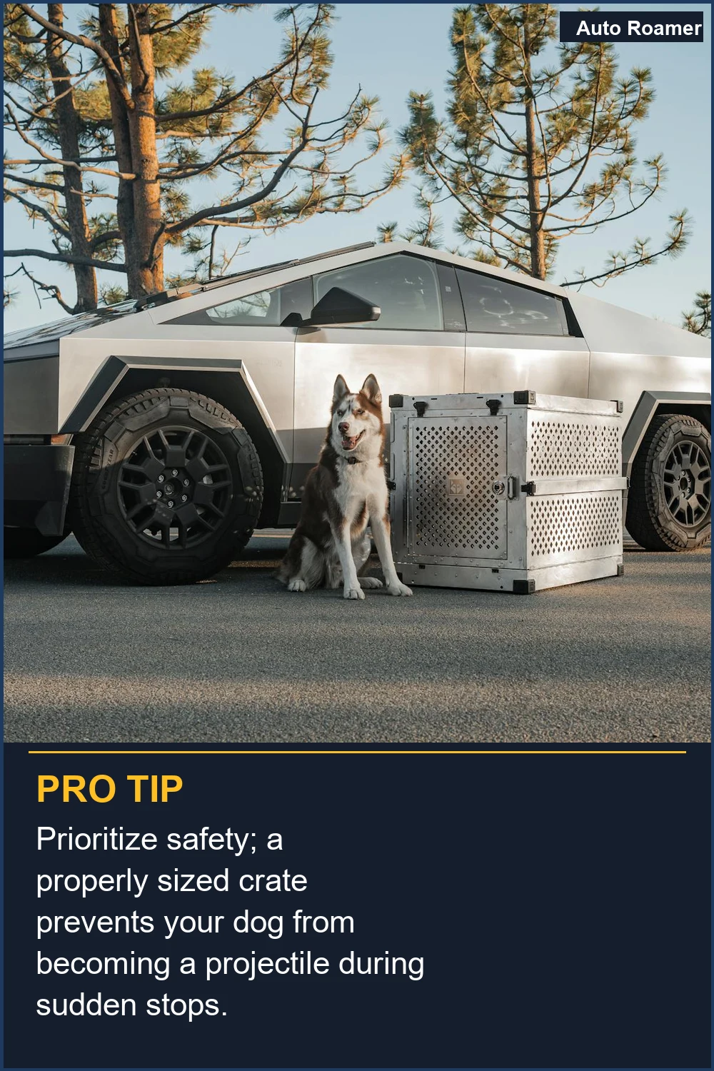 Prioritize safety; a properly sized crate prevents your dog from becoming a projectile during sudden stops.