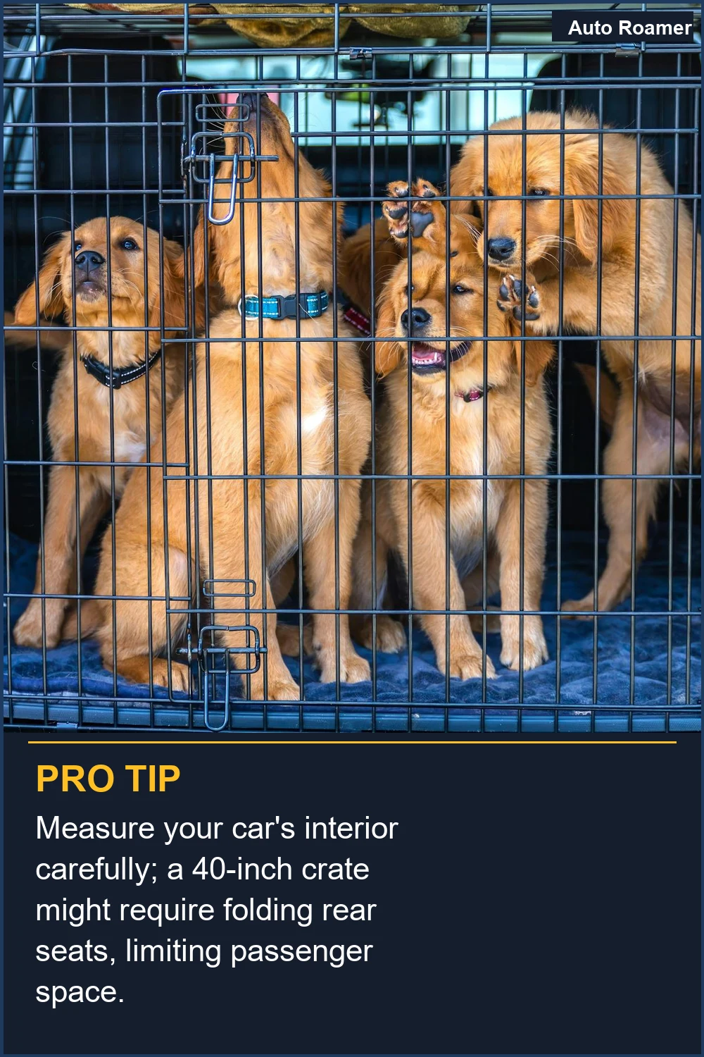 Measure your car's interior carefully; a 40-inch crate might require folding rear seats, limiting passenger space.