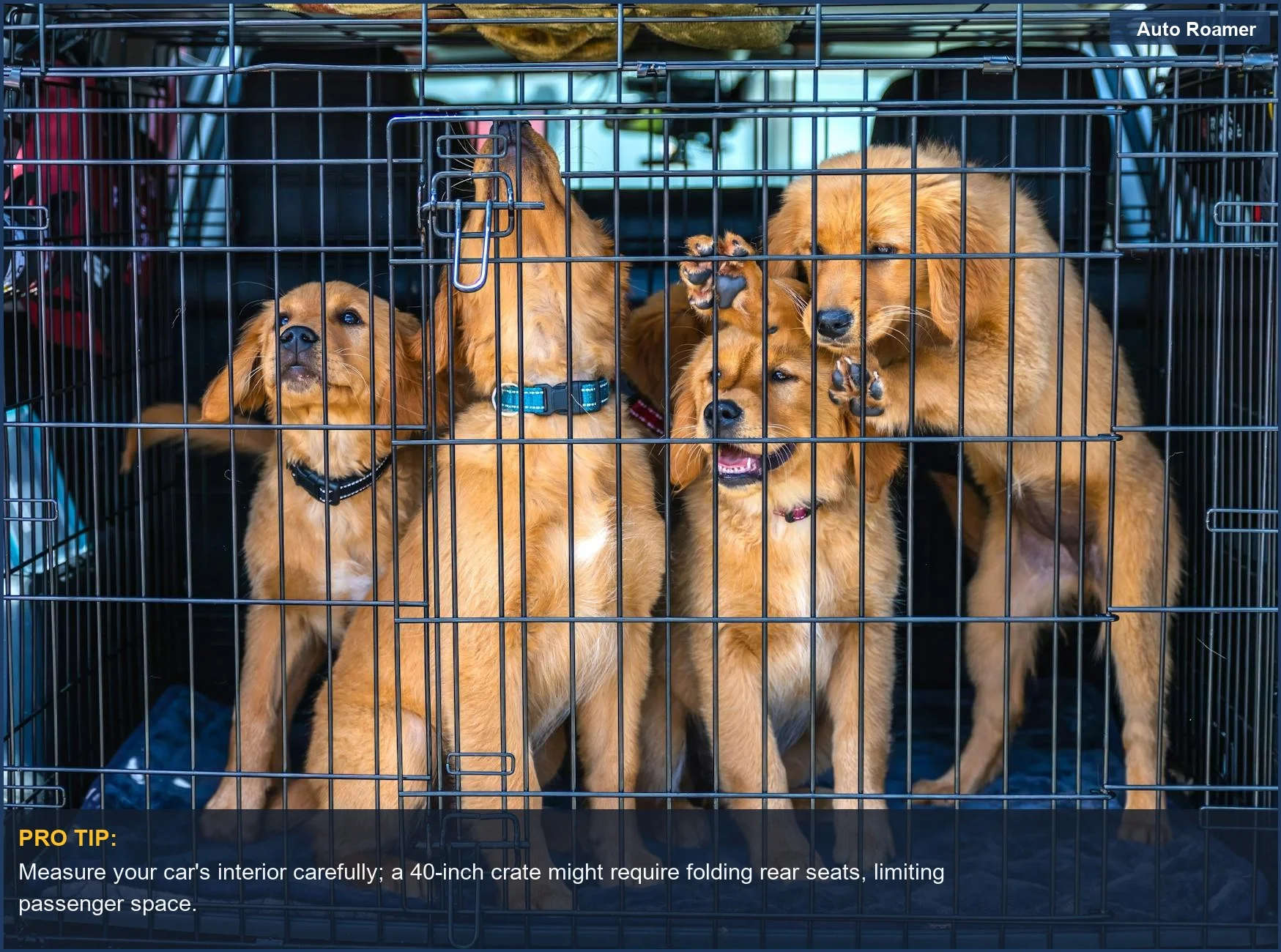 Golden retriever puppies comfortably inside a travel dog crate for car journeys.
