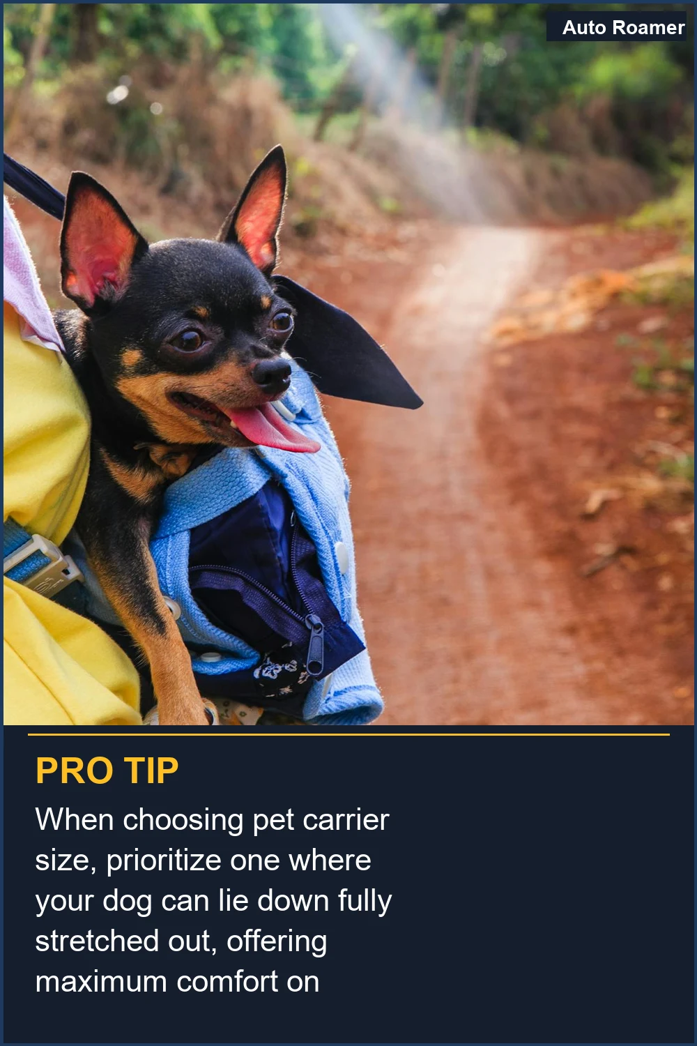 When choosing pet carrier size, prioritize one where your dog can lie down fully stretched out, offering maximum comfort on adventures.