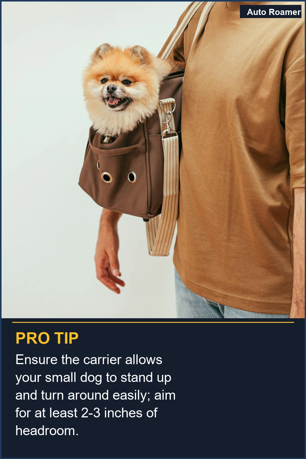 Ensure the carrier allows your small dog to stand up and turn around easily; aim for at least 2-3 inches of headroom.