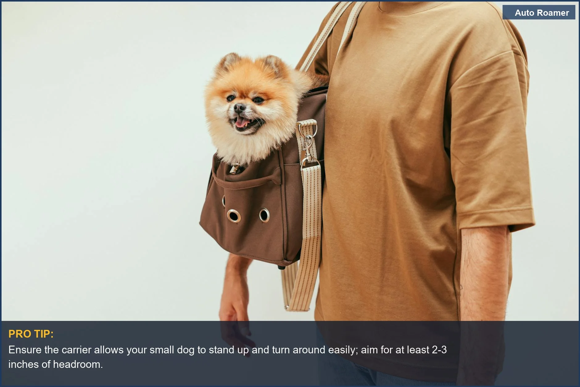 Happy Pomeranian dog relaxing inside a stylish, soft-sided pet carrier bag worn by an owner indoors.