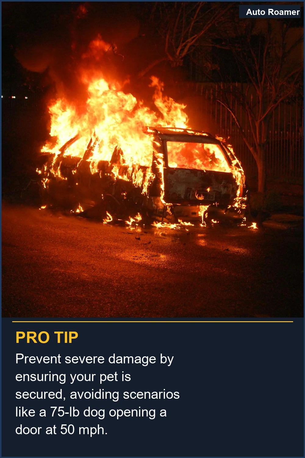 Prevent severe damage by ensuring your pet is secured, avoiding scenarios like a 75-lb dog opening a door at 50 mph.