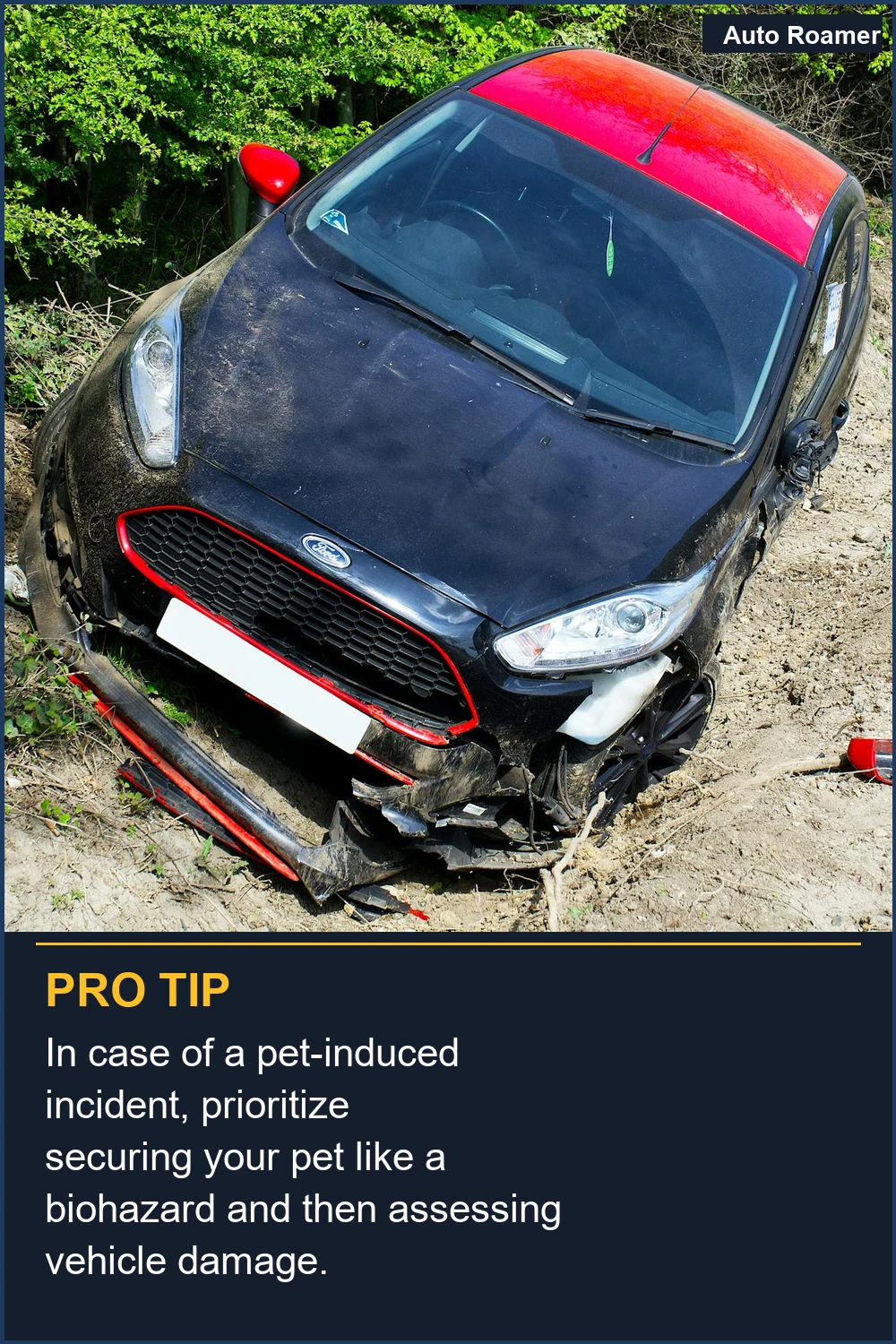 In case of a pet-induced incident, prioritize securing your pet like a biohazard and then assessing vehicle damage.
