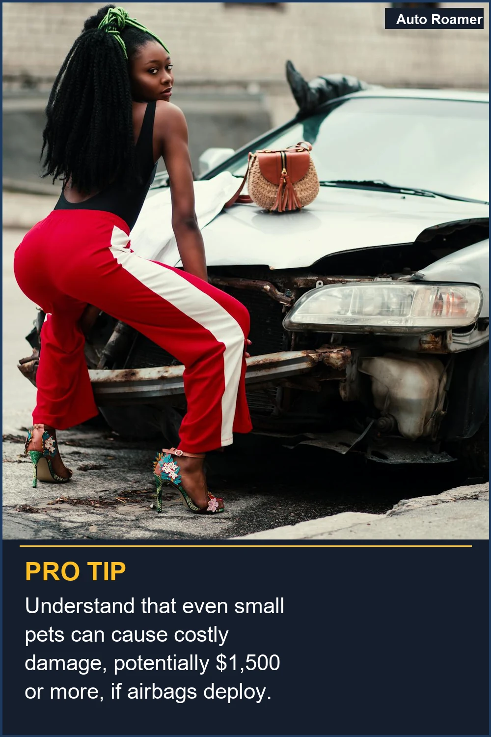 Understand that even small pets can cause costly damage, potentially $1,500 or more, if airbags deploy.
