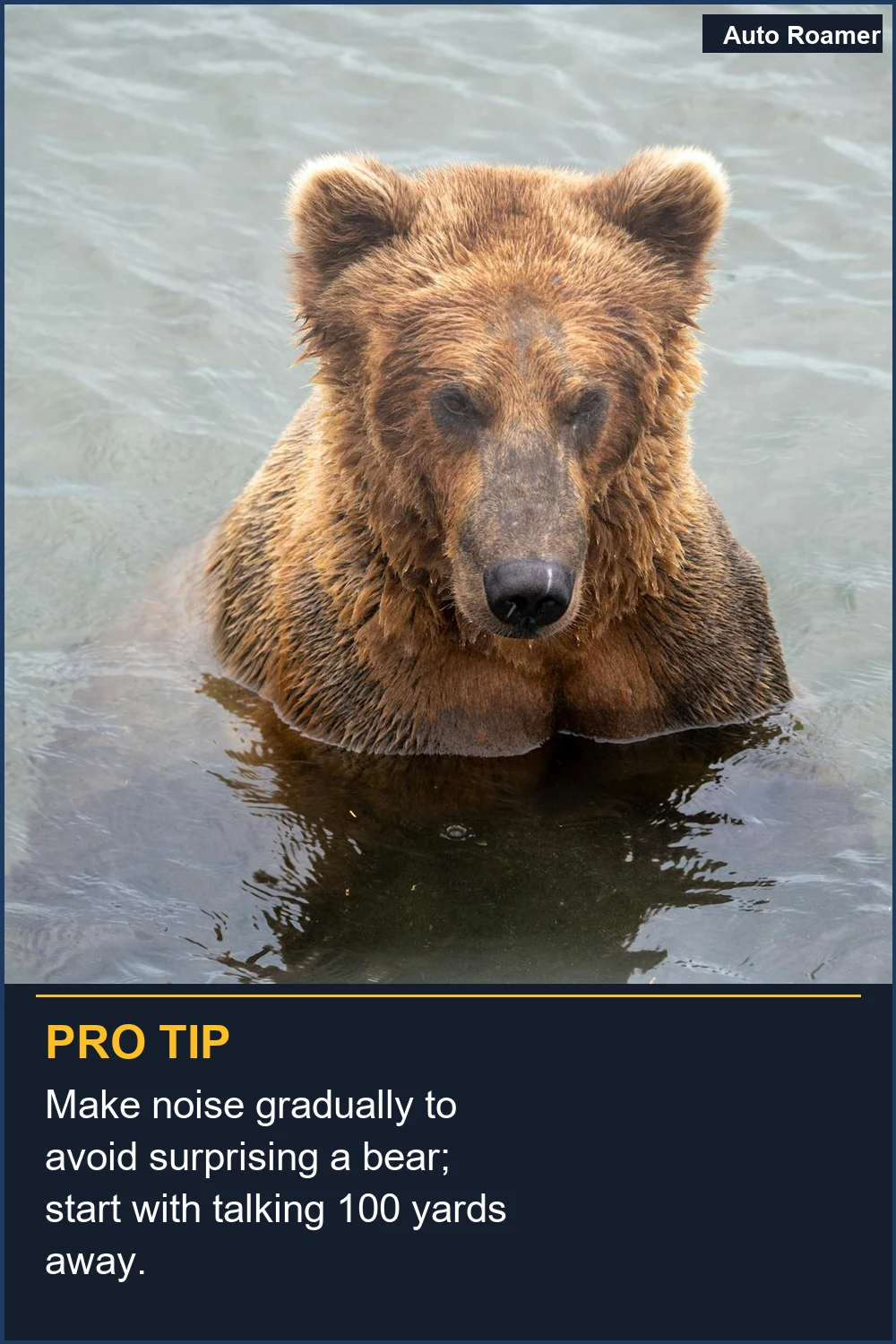Make noise gradually to avoid surprising a bear; start with talking 100 yards away.