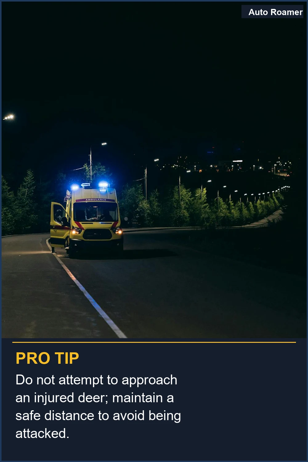 No intentes acercarte a un ciervo herido; mantén una distancia segura para evitar ser atacado.