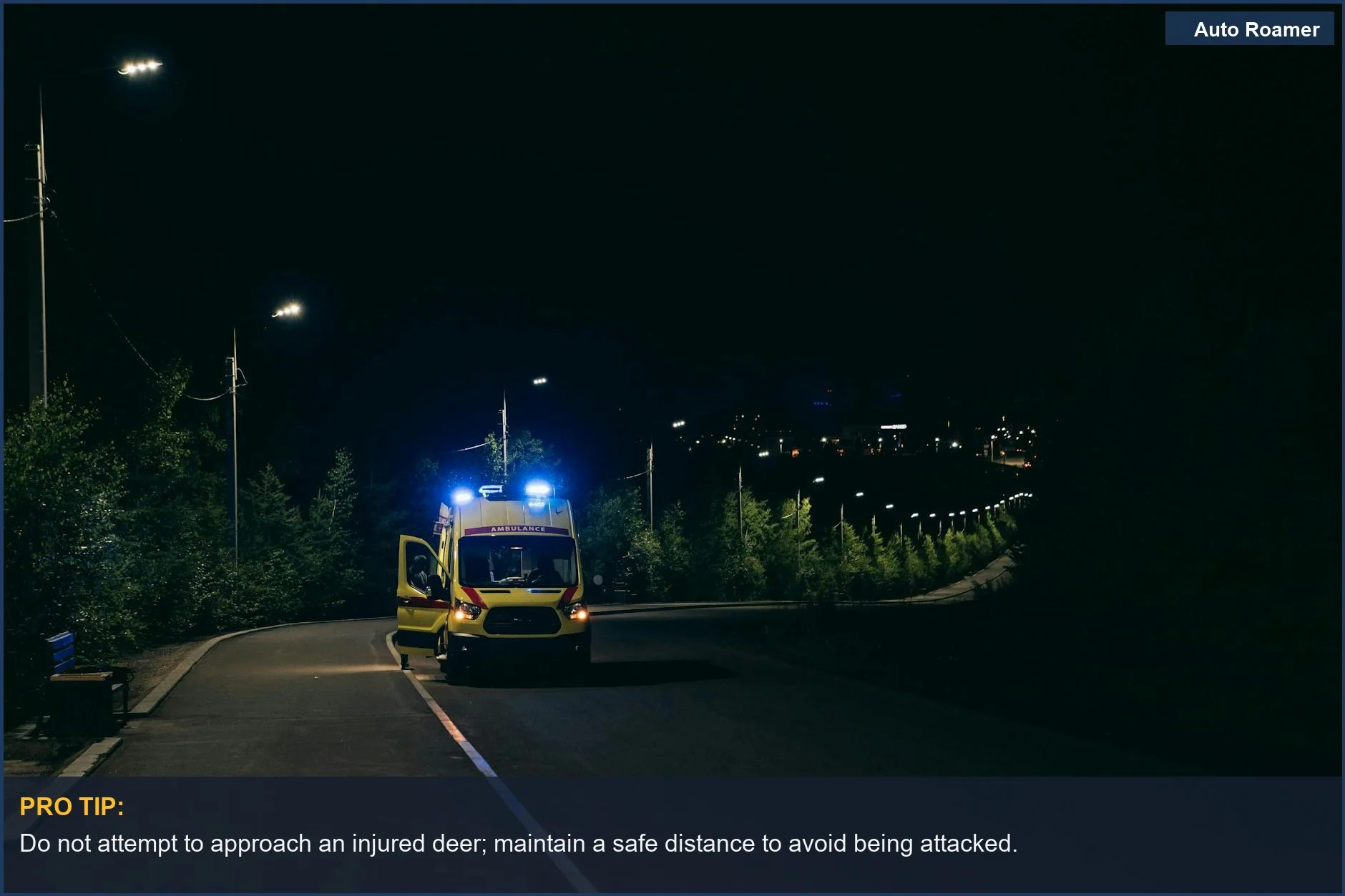 Ambulancia con luces intermitentes en una carretera rural por la noche, preparada para respuesta de emergencia después de un choque con un ciervo.