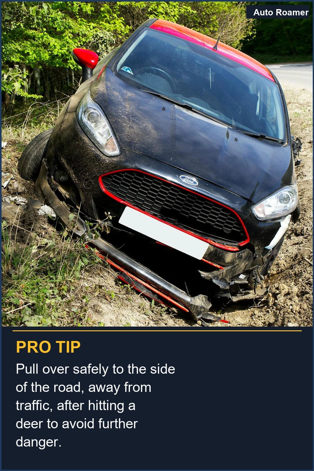 Detente de forma segura al costado de la carretera, lejos del tráfico, después de atropellar un ciervo para evitar un peligro mayor.