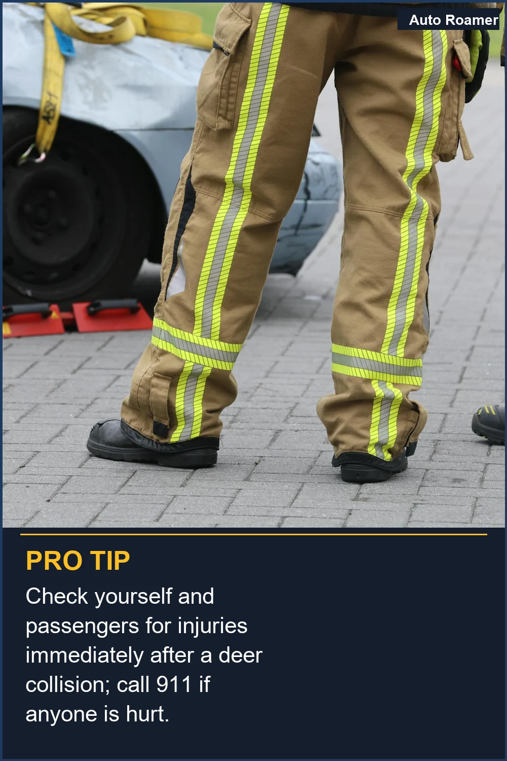 Verifica si tú y tus pasajeros tienen lesiones inmediatamente después de un choque con un ciervo; llama al 911 si alguien está herido.