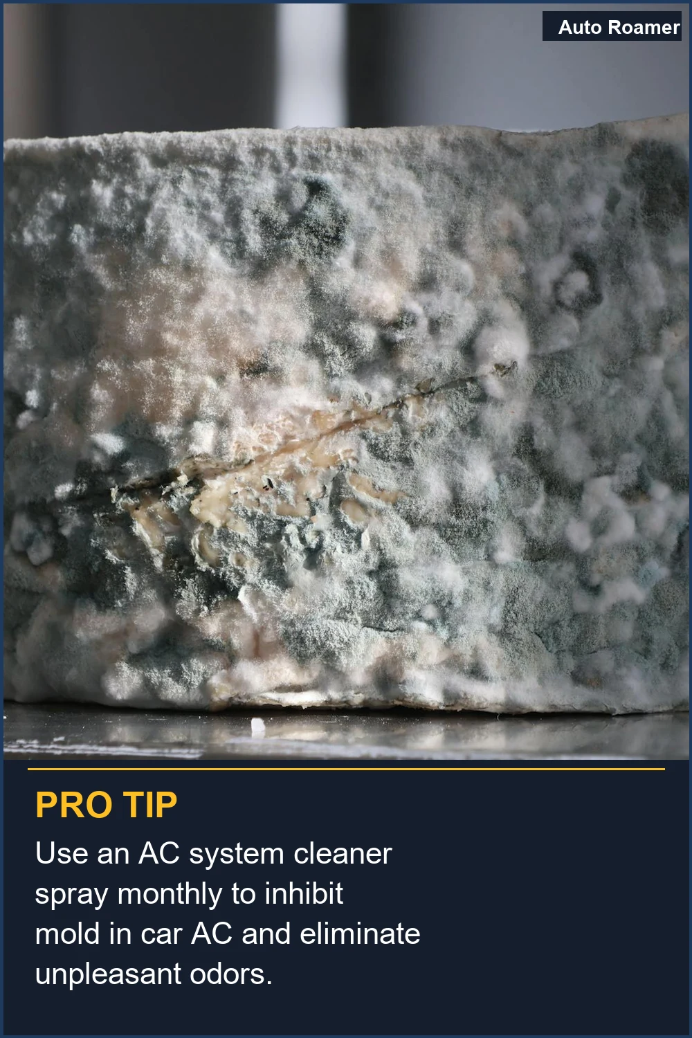 Use an AC system cleaner spray monthly to inhibit mold in car AC and eliminate unpleasant odors.