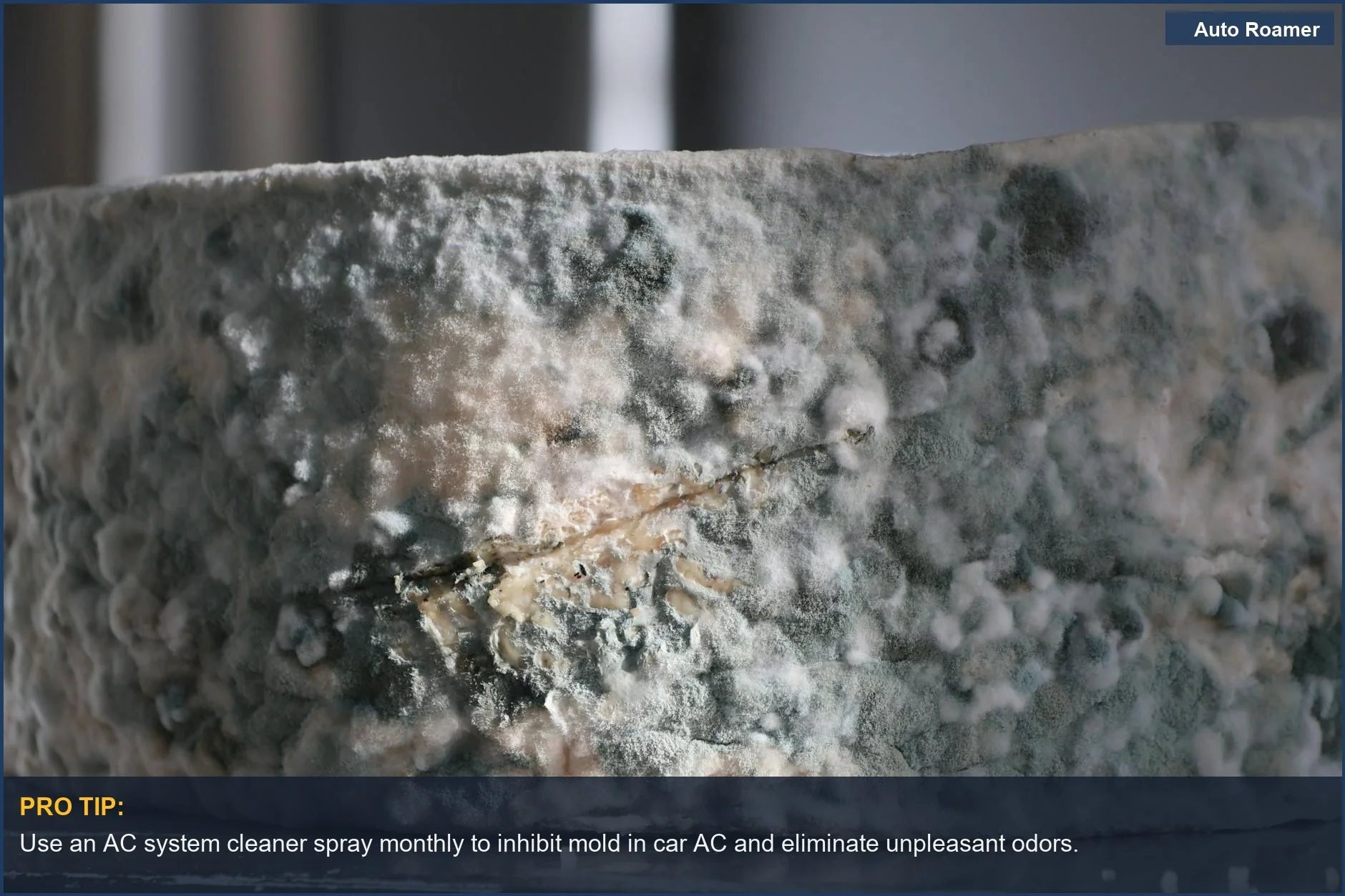 Close-up of blue mold growth on a surface, illustrating mold in car AC.