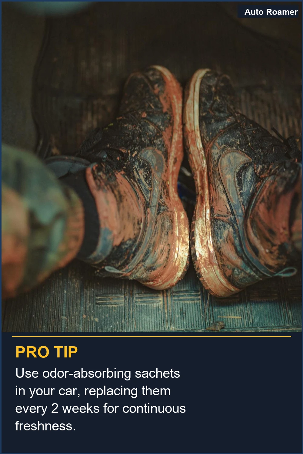 Use odor-absorbing sachets in your car, replacing them every 2 weeks for continuous freshness.