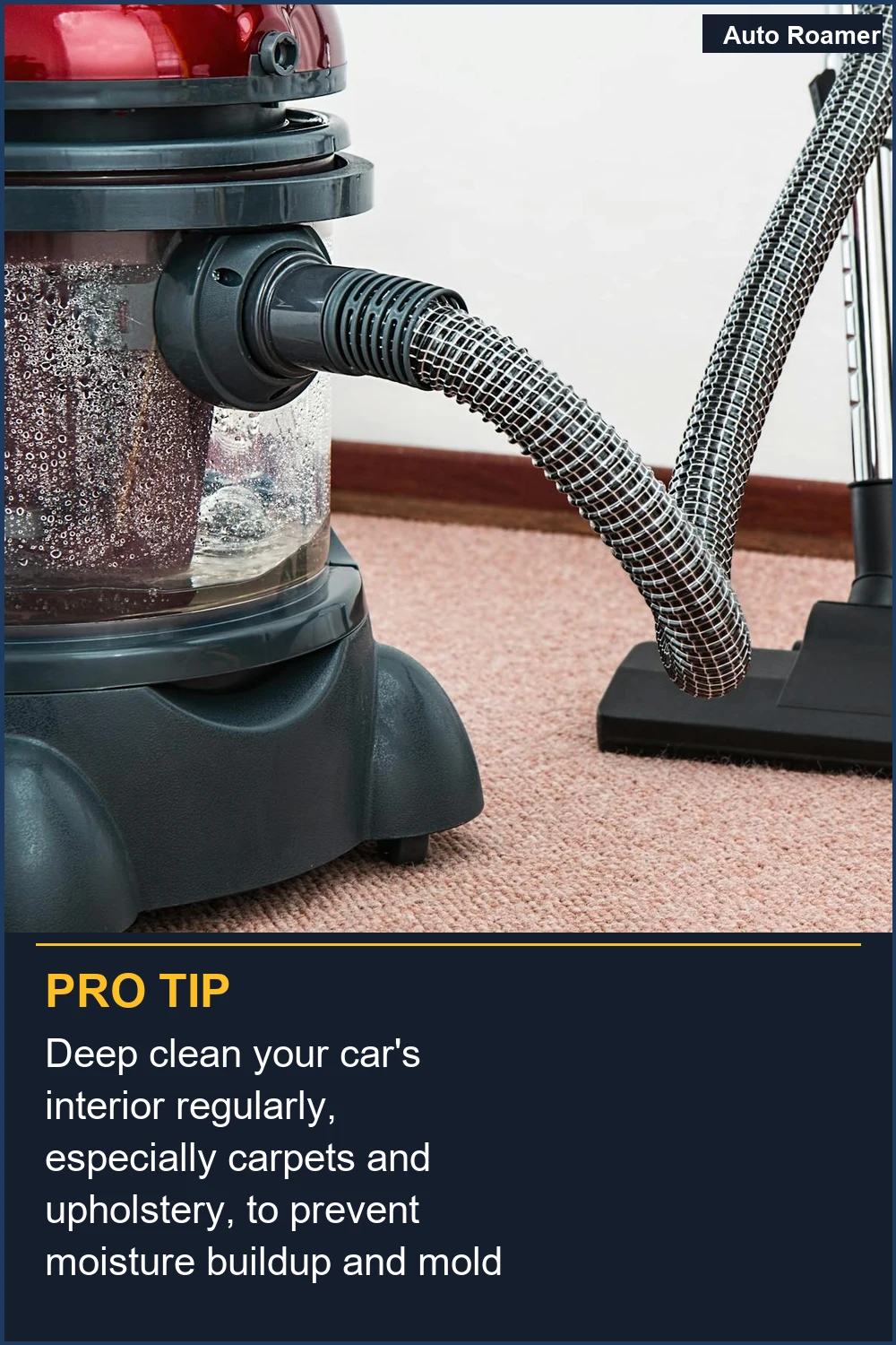 Deep clean your car's interior regularly, especially carpets and upholstery, to prevent moisture buildup and mold growth.