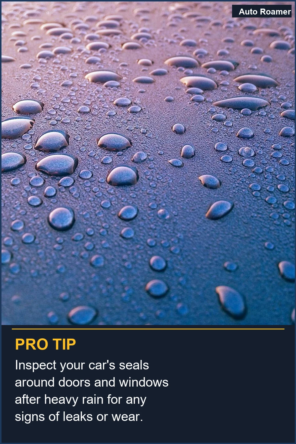 Inspect your car's seals around doors and windows after heavy rain for any signs of leaks or wear.