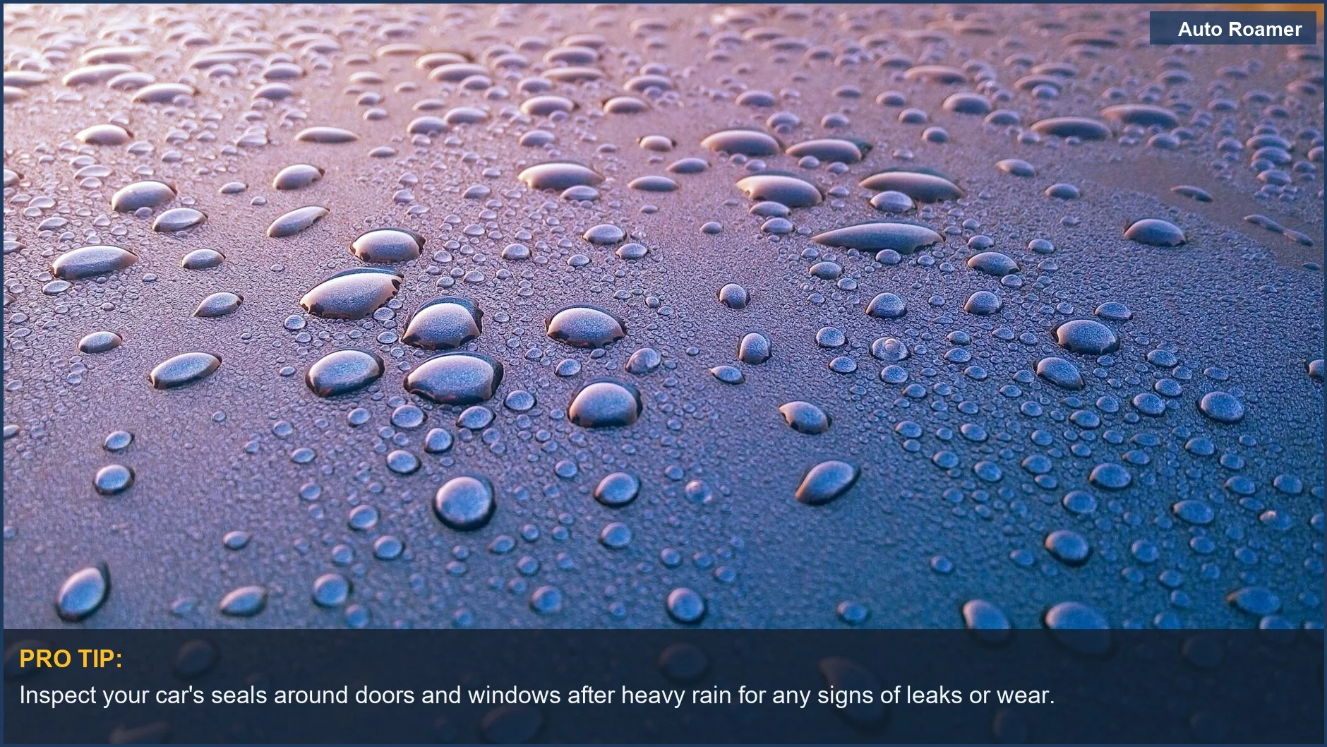 Close-up of water droplets on a car's surface, illustrating the wet car smell problem.