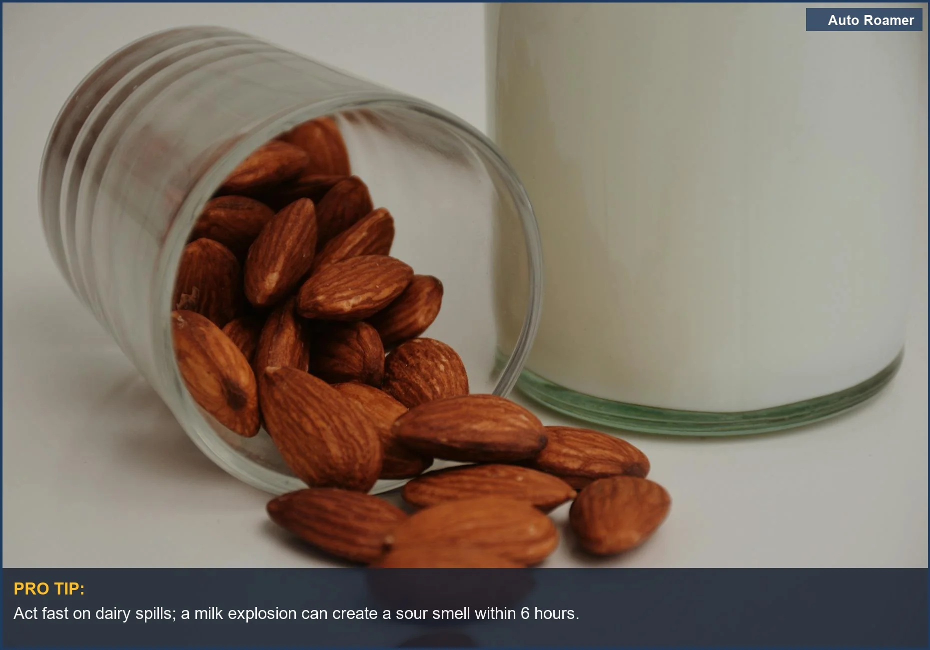Spilled almonds and almond milk, showing how unexpected spills create odors and why cars smell terrible.