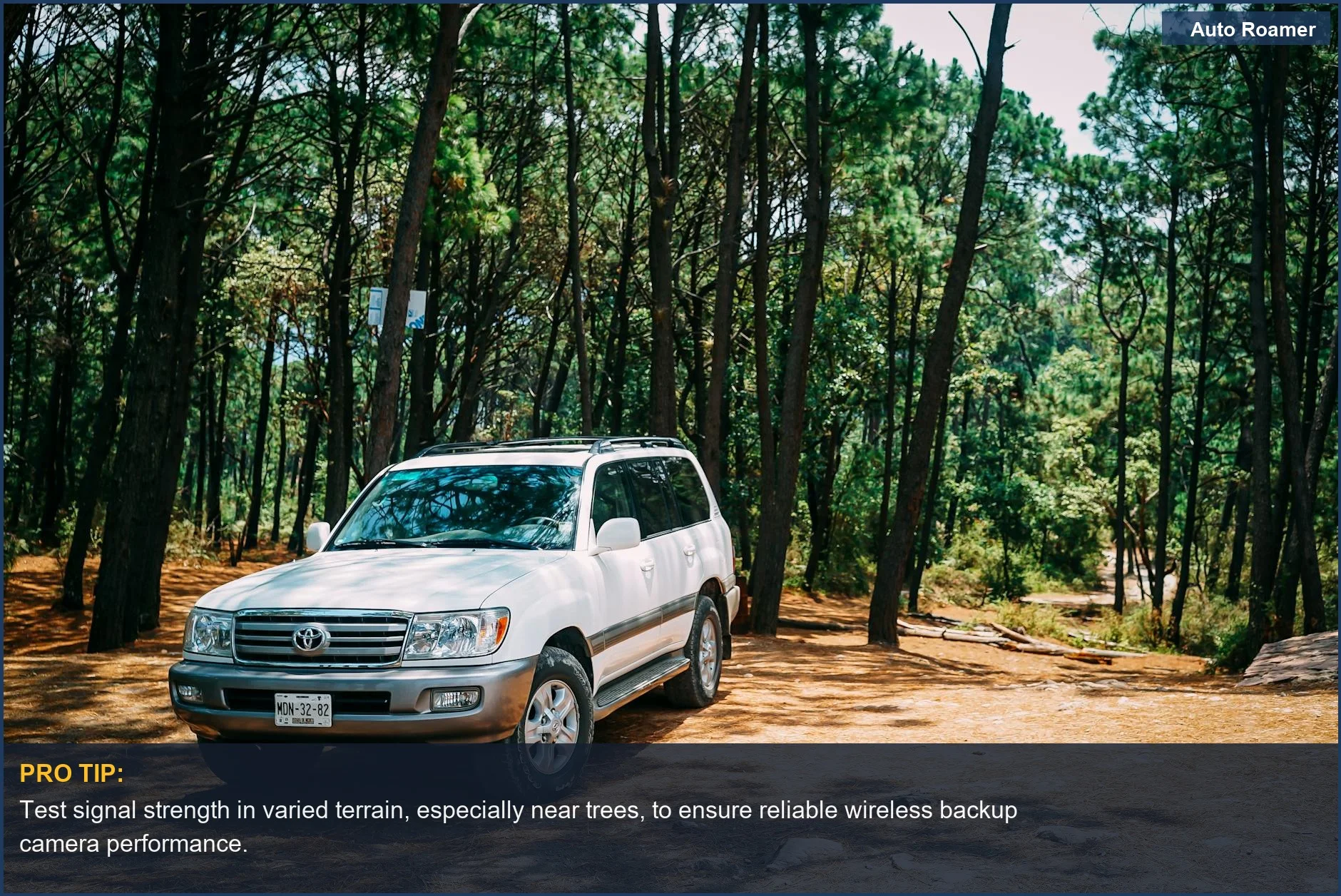 White SUV parked serenely among tall trees in a tranquil forest setting.