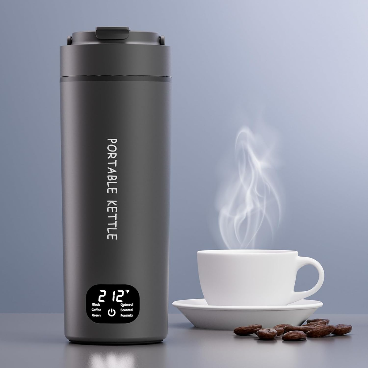 HOWDIANQY Dual Voltage Portable Kettle
