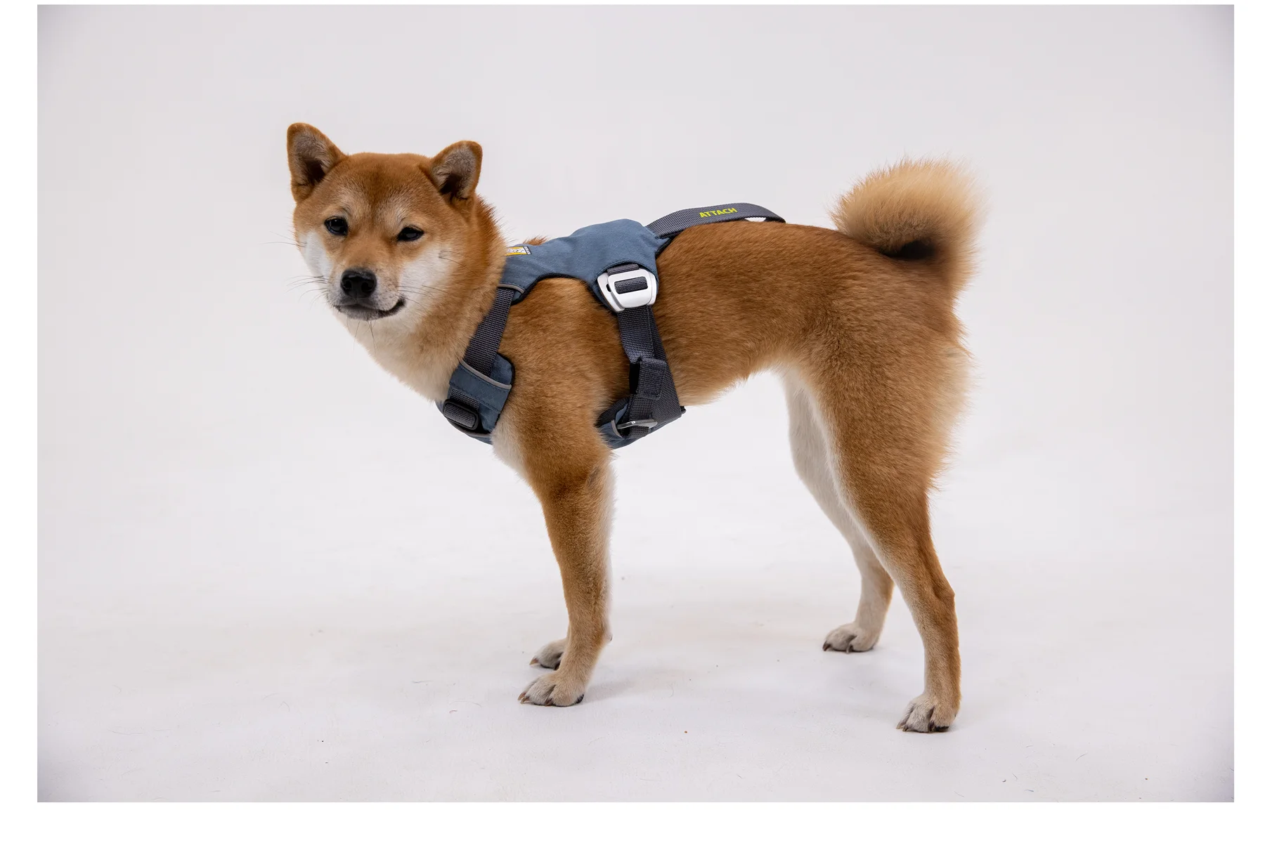 Ruffwear Load Up