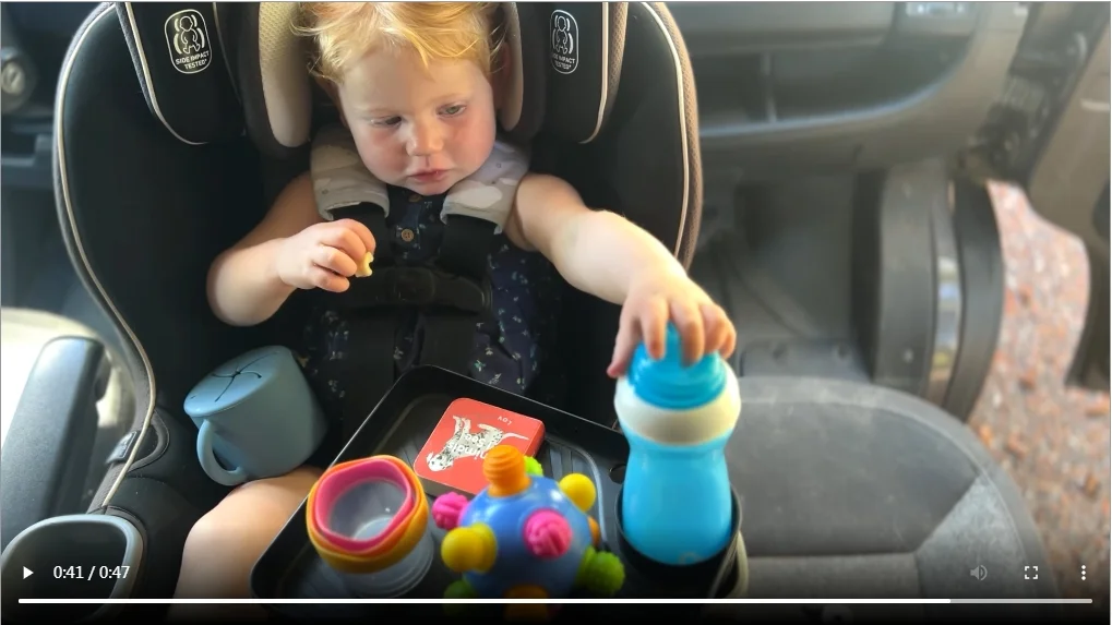 JoyChild Toddler Car Seat Tray