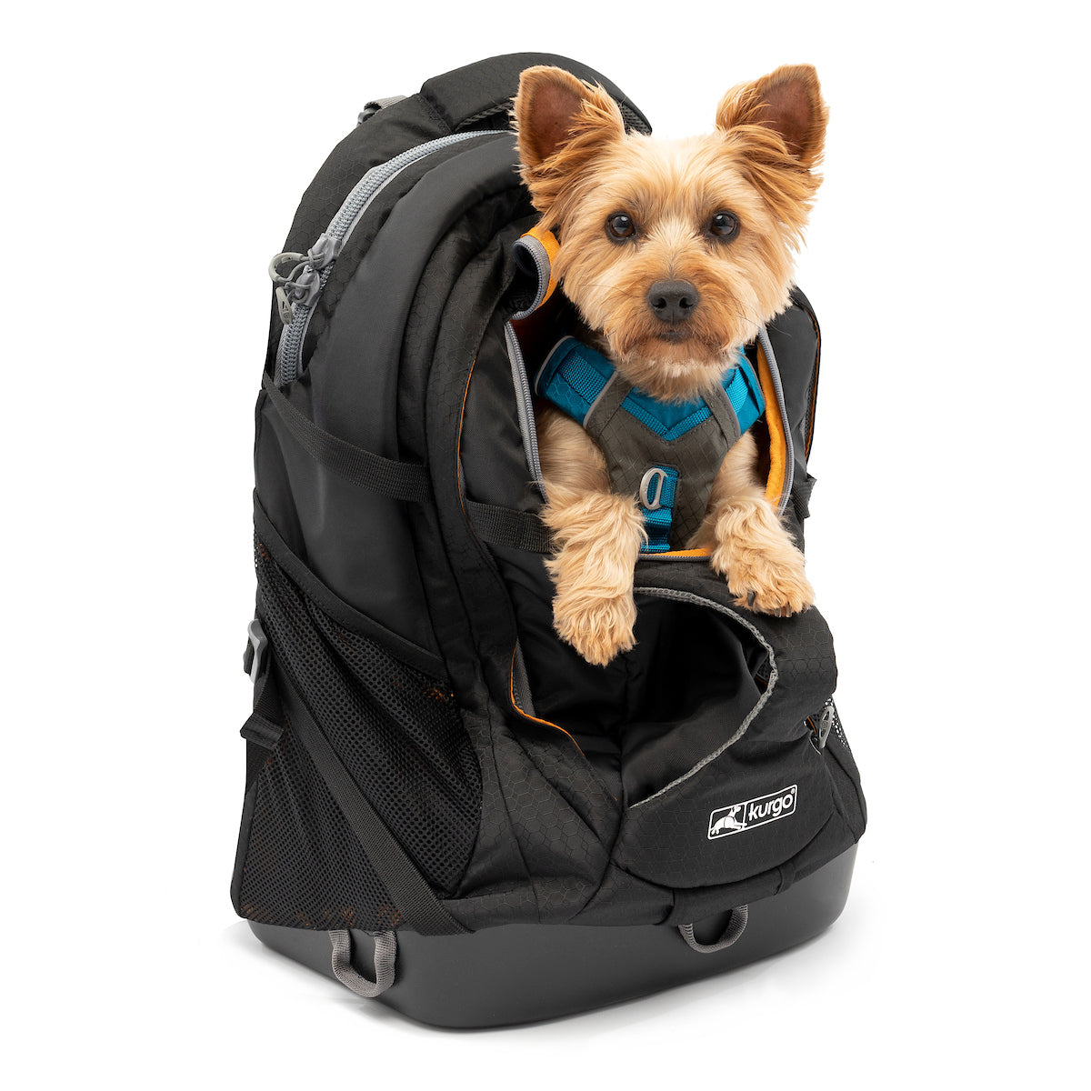 Kurgo G-Train Small Polyester Dog Carrier Backpack