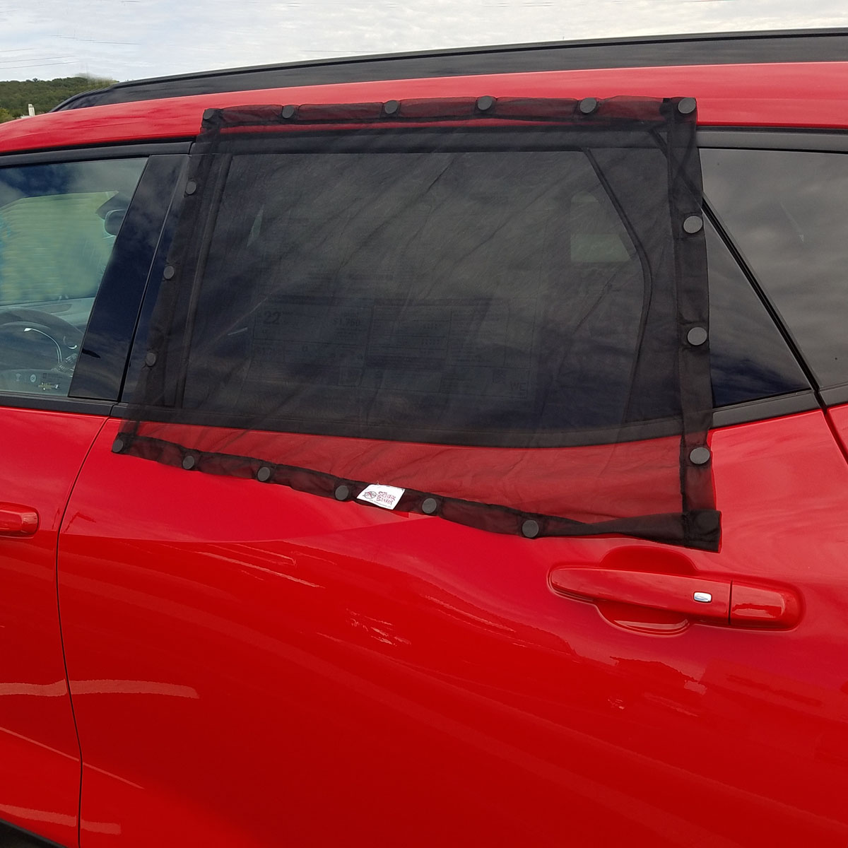 The Skeeter Beater Magnetic Window Screen